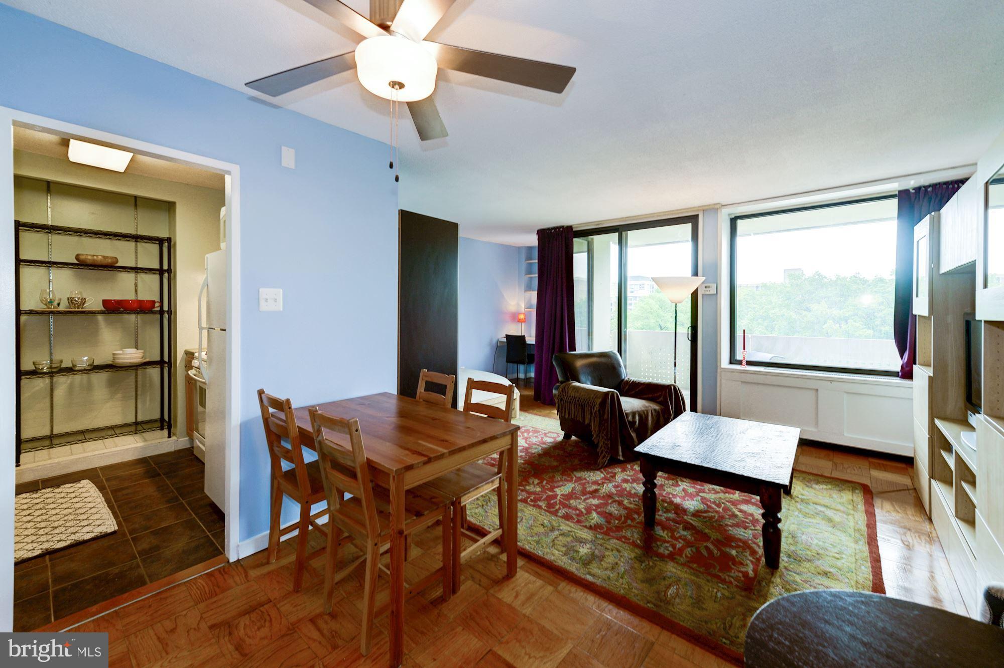 430 M Street Southwest, Unit N503 Washington, DC 20024 - Photo 1 of 20 View towards windows
