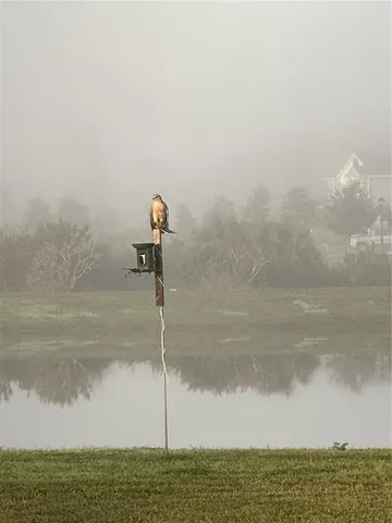 $1,250,000 | 2206 Weatherly Way, Orlando, FL 32820