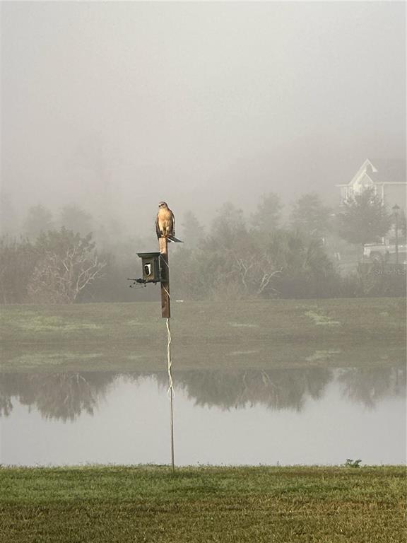 2206 Weatherly Way Orlando, FL 32820 - Photo 60 of 69