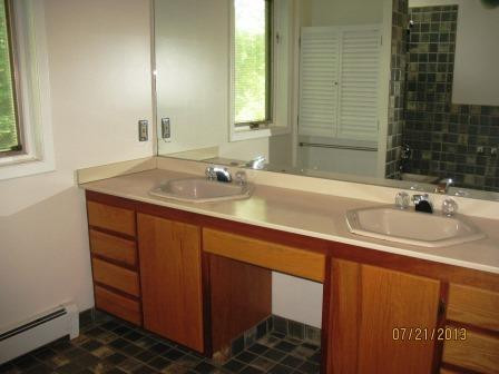 109 Island Lake Road Chelsea, MI 48118 - Photo 12 of 18 Full Bath
