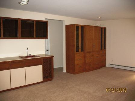 109 Island Lake Road Chelsea, MI 48118 - Photo 7 of 18 Family Room with Wet Bar