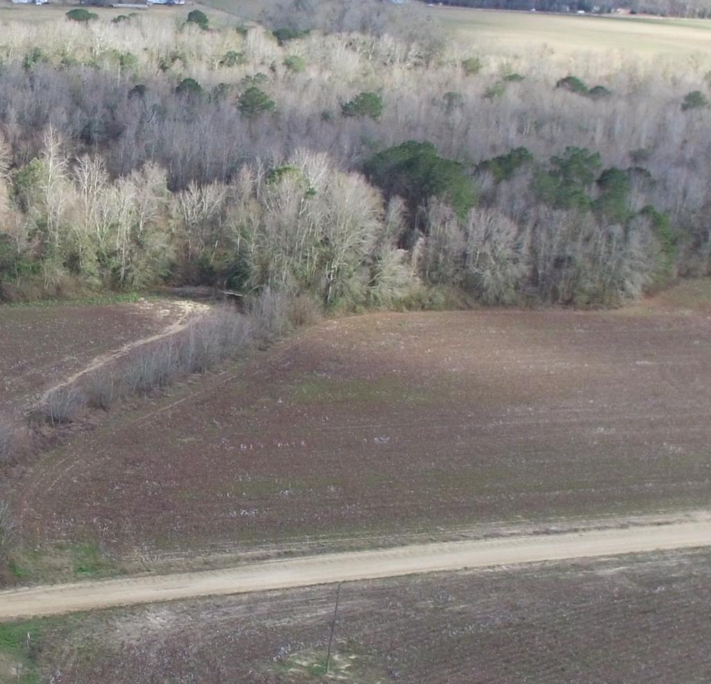 Lot 7 J B Jackson Road Ashford, AL 36312 - Photo 1 of 1