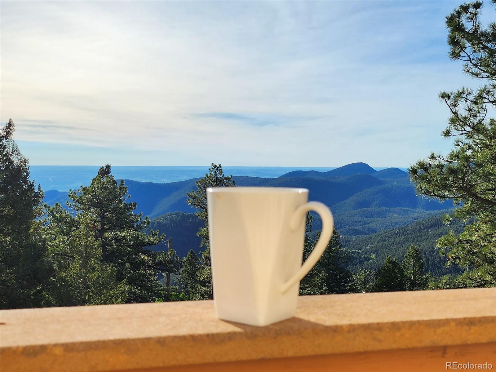 9648 Yegge Road Morrison, CO 80465 - Photo 11 of 29