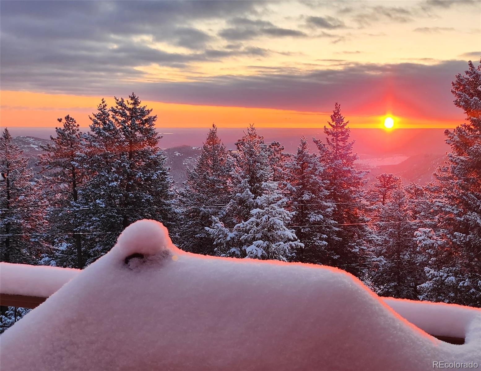 9648 Yegge Road Morrison, CO 80465 - Photo 12 of 29