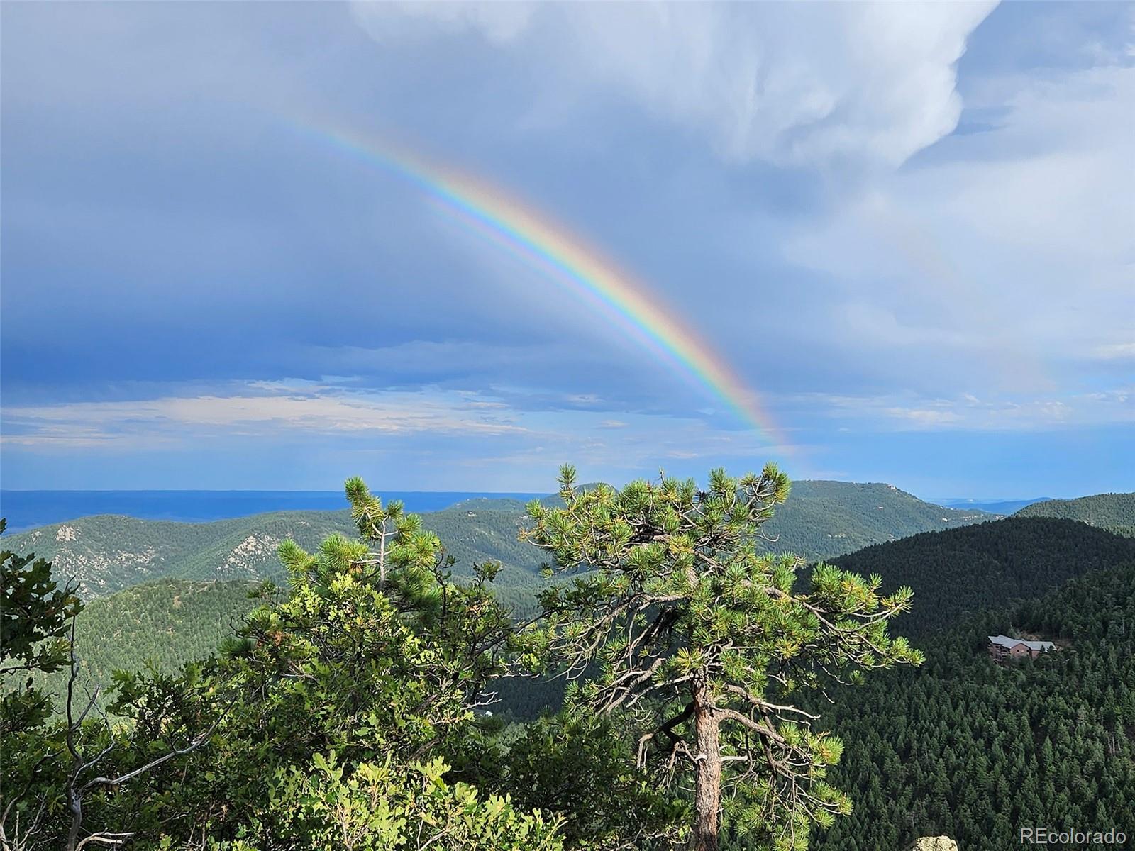9648 Yegge Road Morrison, CO 80465 - Photo 17 of 29