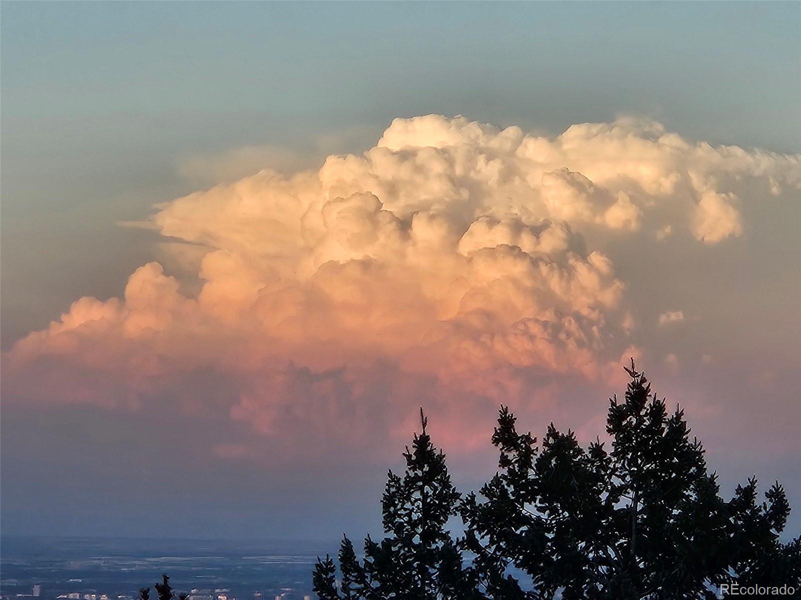 9648 Yegge Road Morrison, CO 80465 - Photo 20 of 29