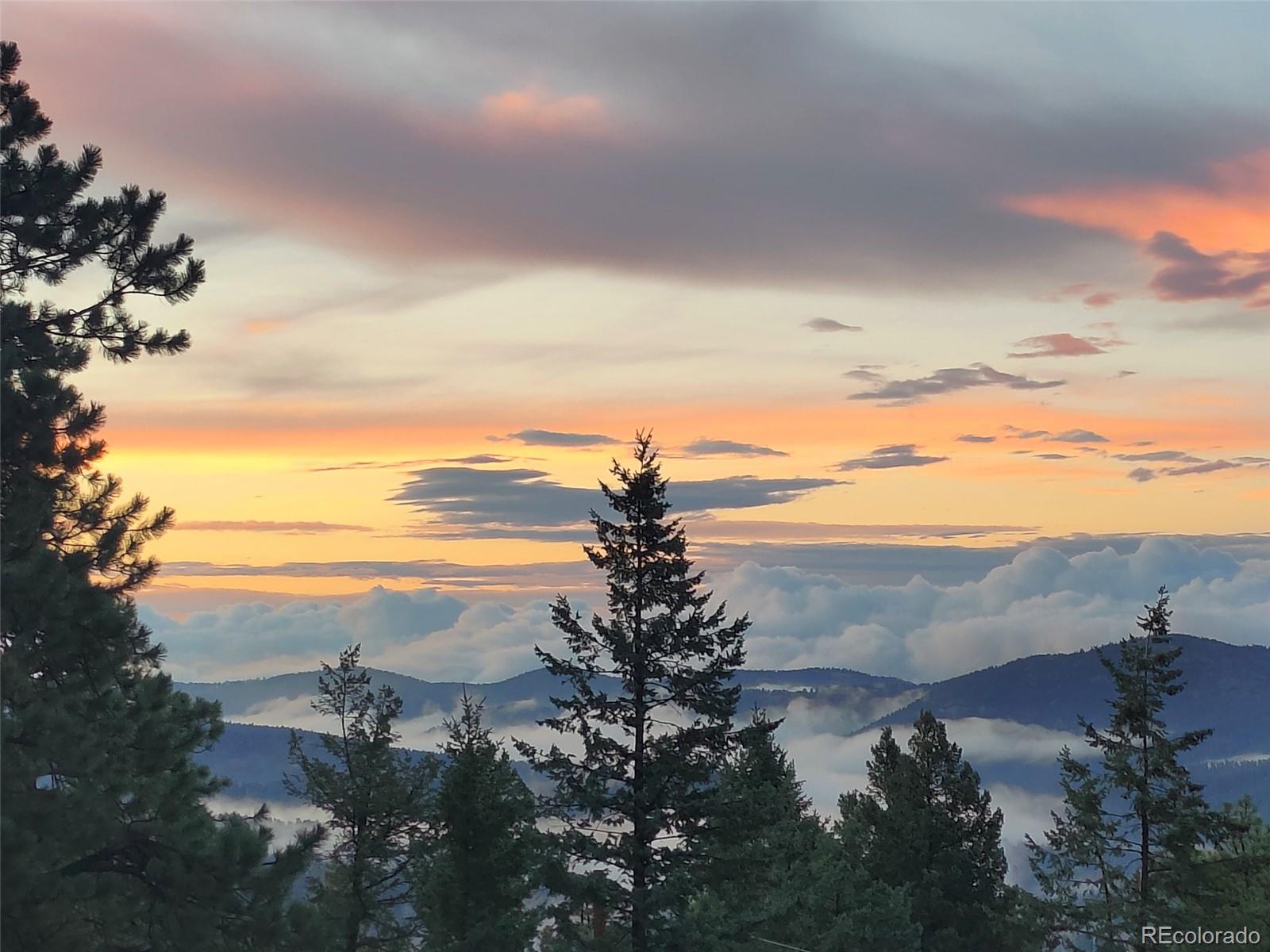 9648 Yegge Road Morrison, CO 80465 - Photo 24 of 29