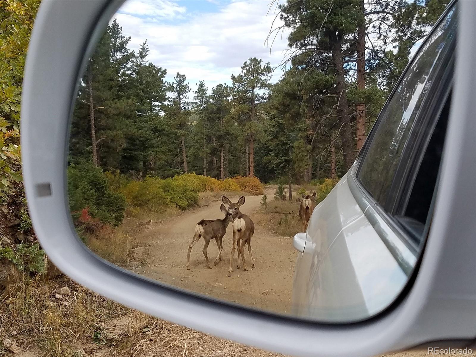 9648 Yegge Road Morrison, CO 80465 - Photo 25 of 29