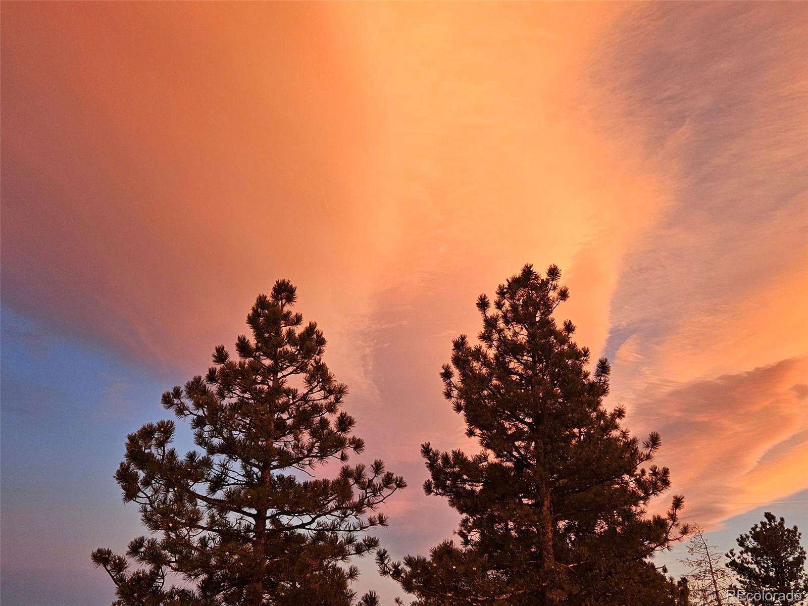 9648 Yegge Road Morrison, CO 80465 - Photo 28 of 29