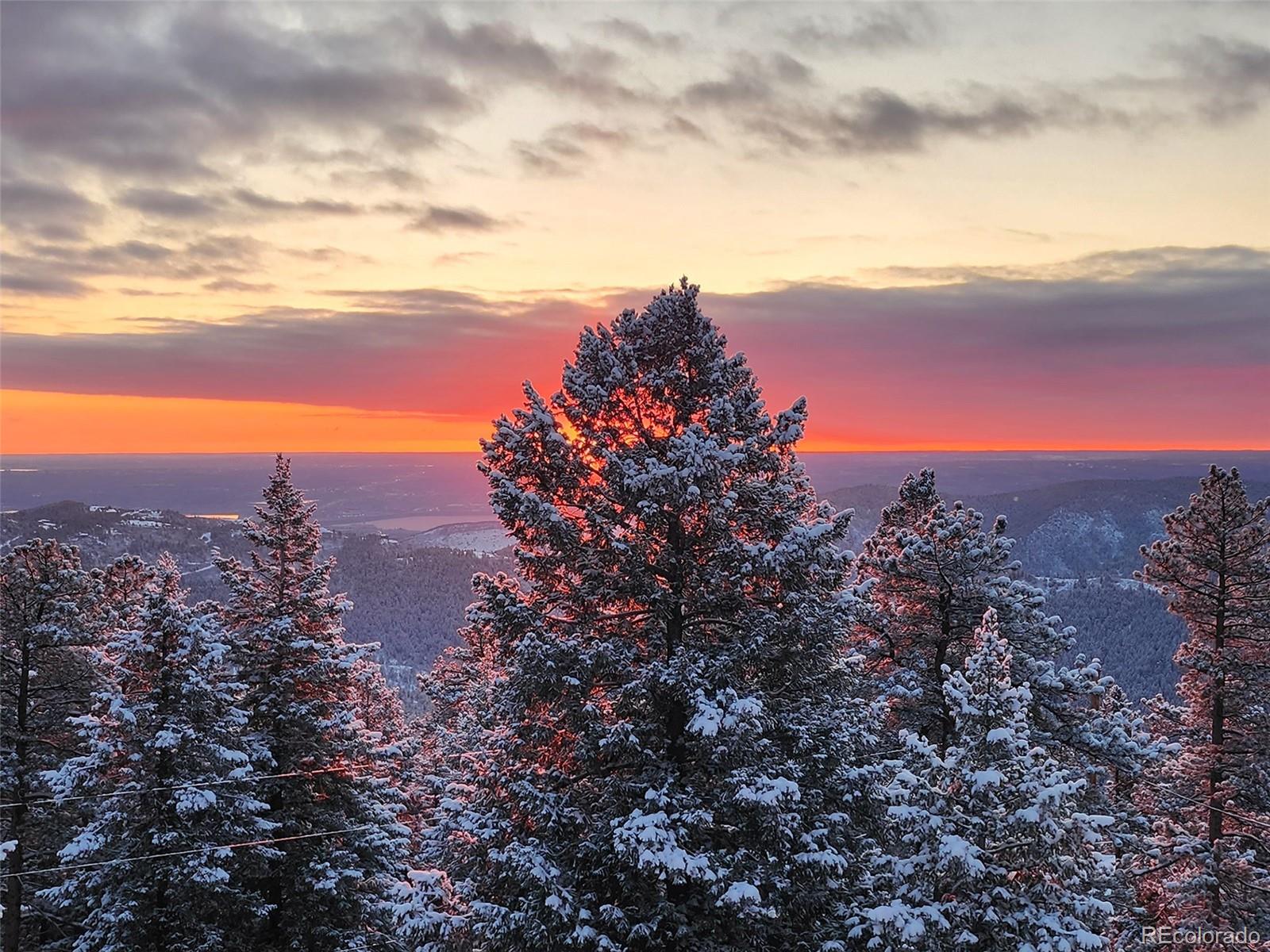 9648 Yegge Road Morrison, CO 80465 - Photo 5 of 29