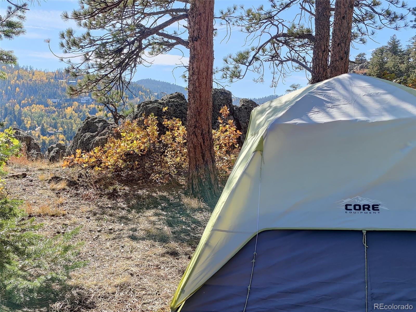 9648 Yegge Road Morrison, CO 80465 - Photo 7 of 29