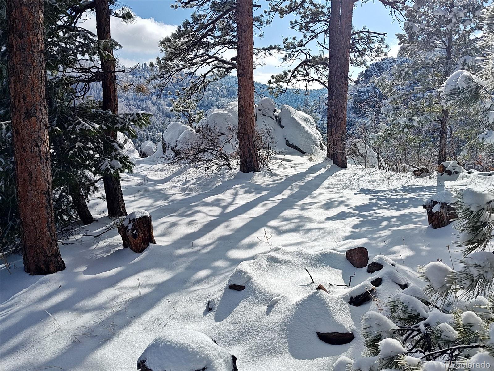 9648 Yegge Road Morrison, CO 80465 - Photo 8 of 29