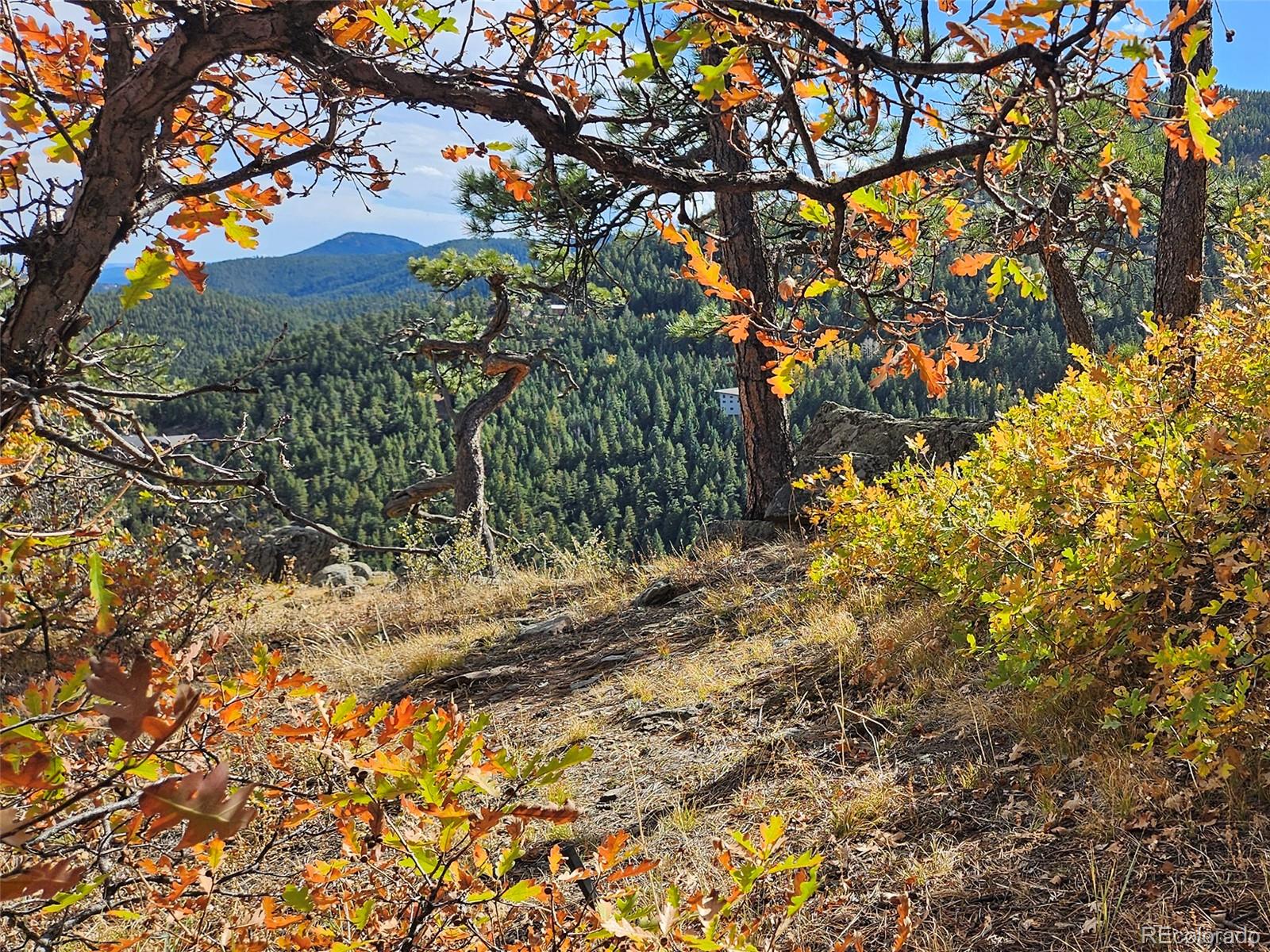 9648 Yegge Road Morrison, CO 80465 - Photo 9 of 29