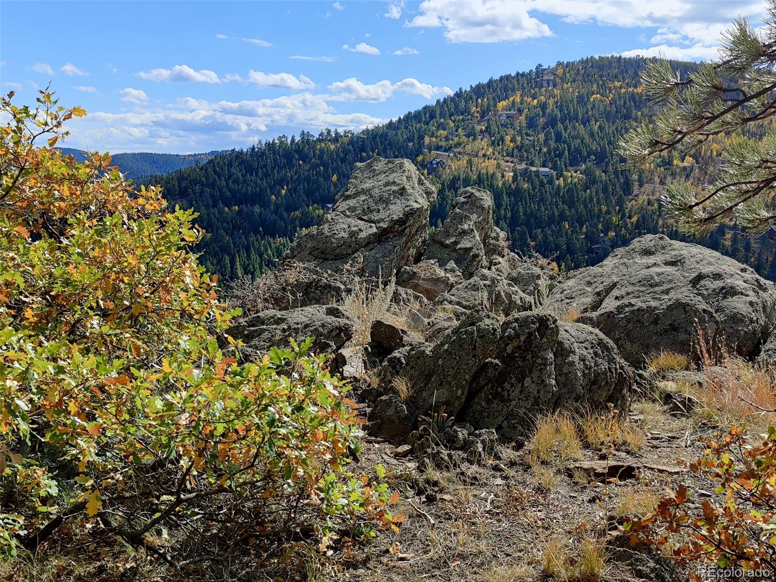 9648 Yegge Road Morrison, CO 80465 - Photo 10 of 29