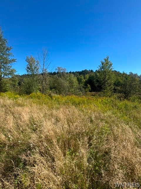 8049 Irish Road Colden, NY 14033 - Photo 29 of 30 Gallery Image 29