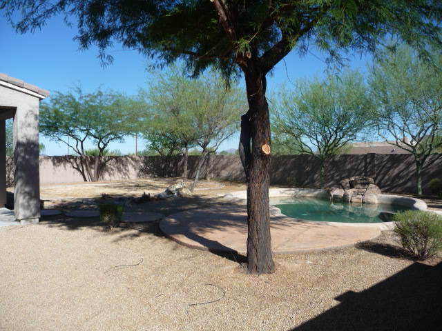 4816 East Sleepy Ranch Road Cave Creek, AZ 85331 - Photo 7 of 8 Backyard 1