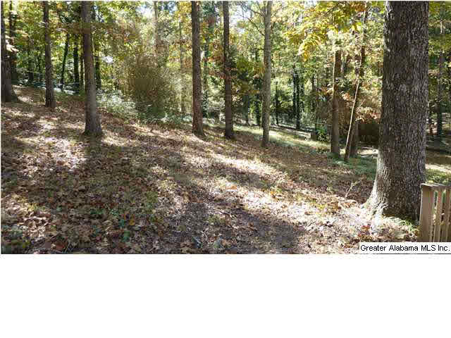 2316 Isaac Street Pelham, AL 35124 - Photo 27 of 29
