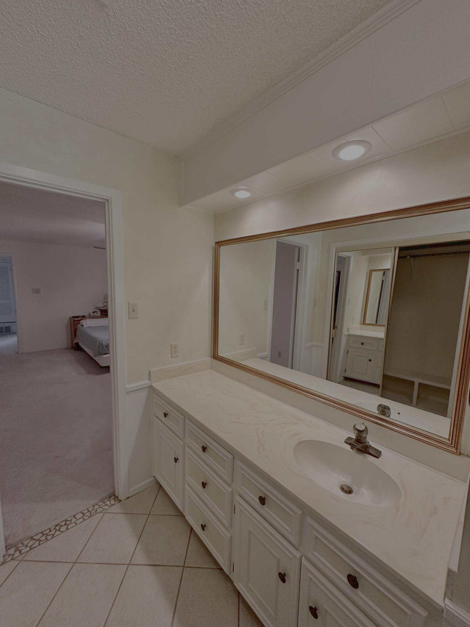4610 88th Street Lubbock, TX 79424 - Photo 12 of 20 a bathroom with a double vanity sink and mirror