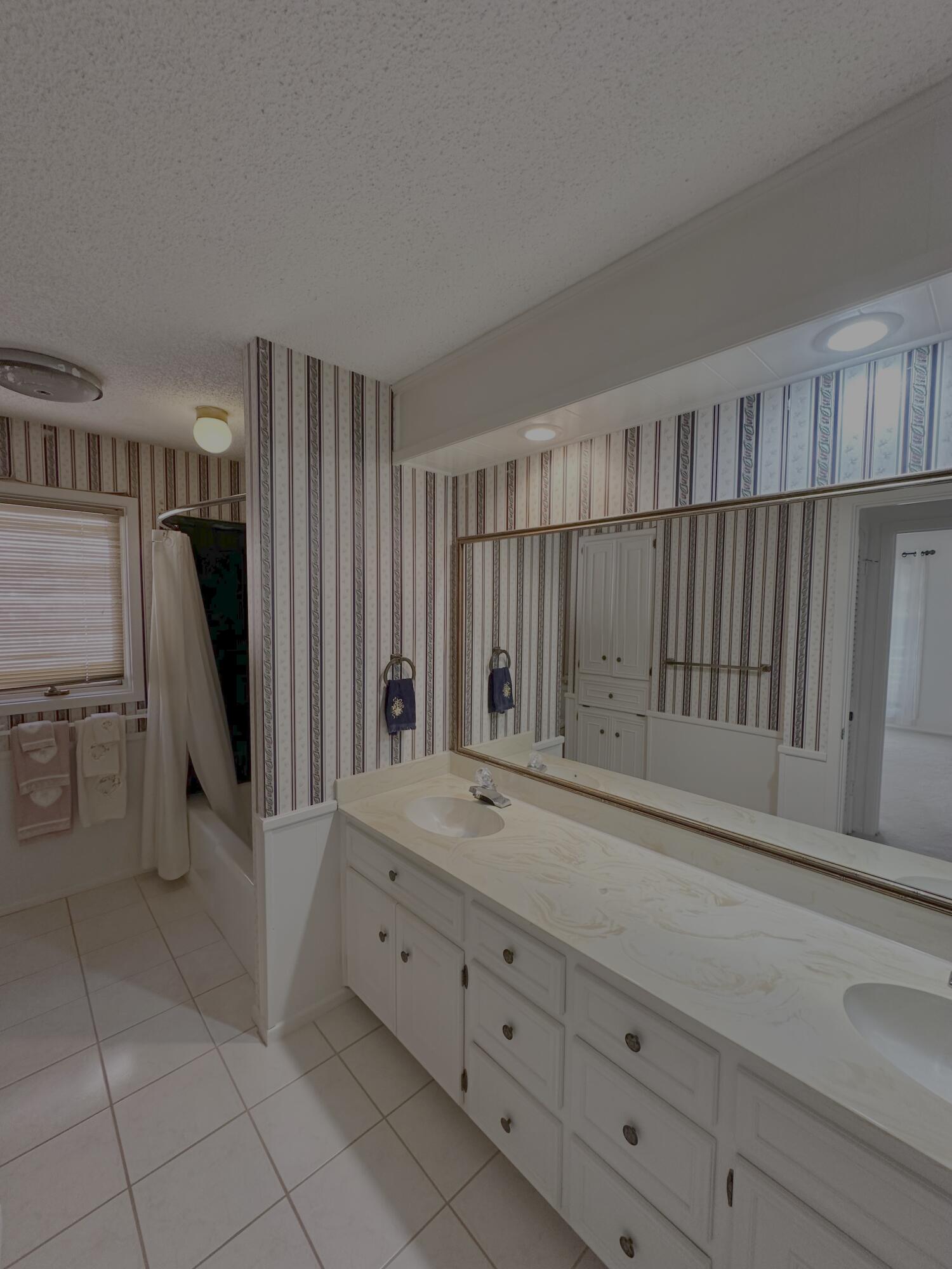 4610 88th Street Lubbock, TX 79424 - Photo 15 of 20 a spacious bathroom with a double vanity sink and a mirror