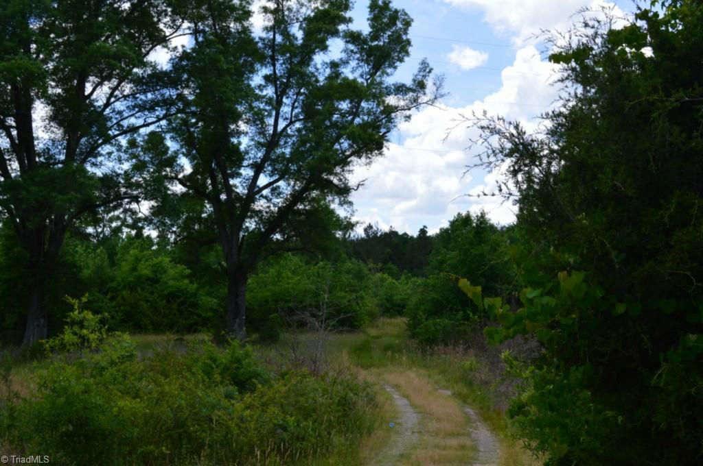 2657 Flat Swamp Road Denton, NC 27239 - Photo 2 of 6 Gallery Image 2