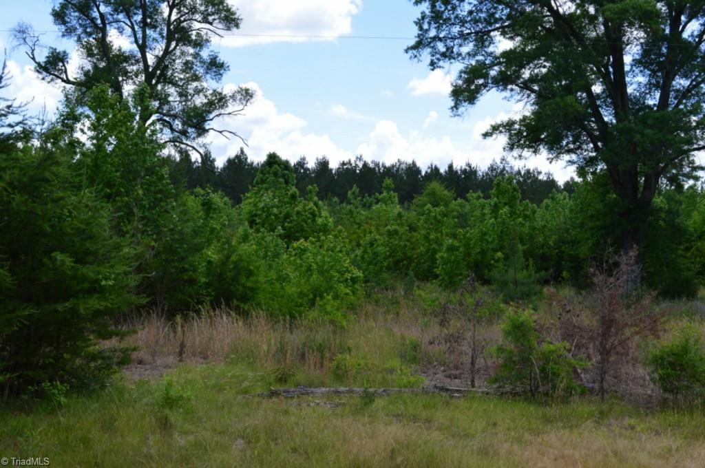 2657 Flat Swamp Road Denton, NC 27239 - Photo 3 of 6 Gallery Image 3