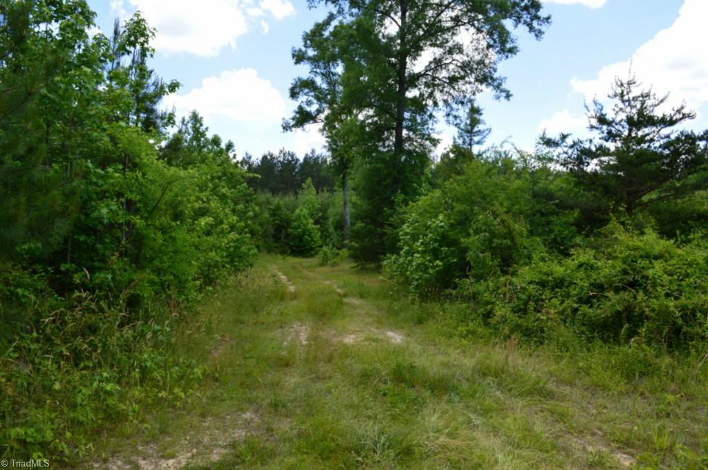 2657 Flat Swamp Road Denton, NC 27239 - Photo 4 of 6 Gallery Image 4