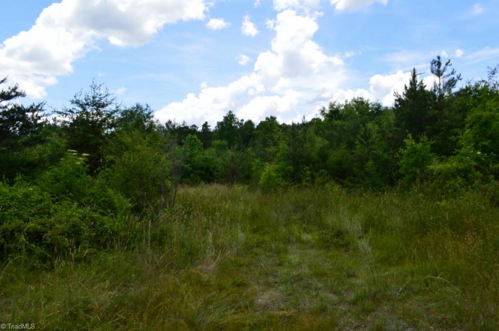 2657 Flat Swamp Road Denton, NC 27239 - Photo 6 of 6 Gallery Image 6