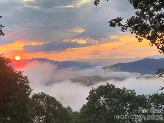 a kitchen with stainless steel appliances a refrigerator and a stove top oven