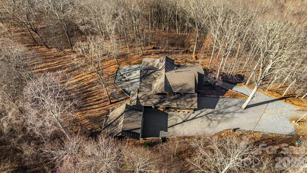 a picture of trees with houses