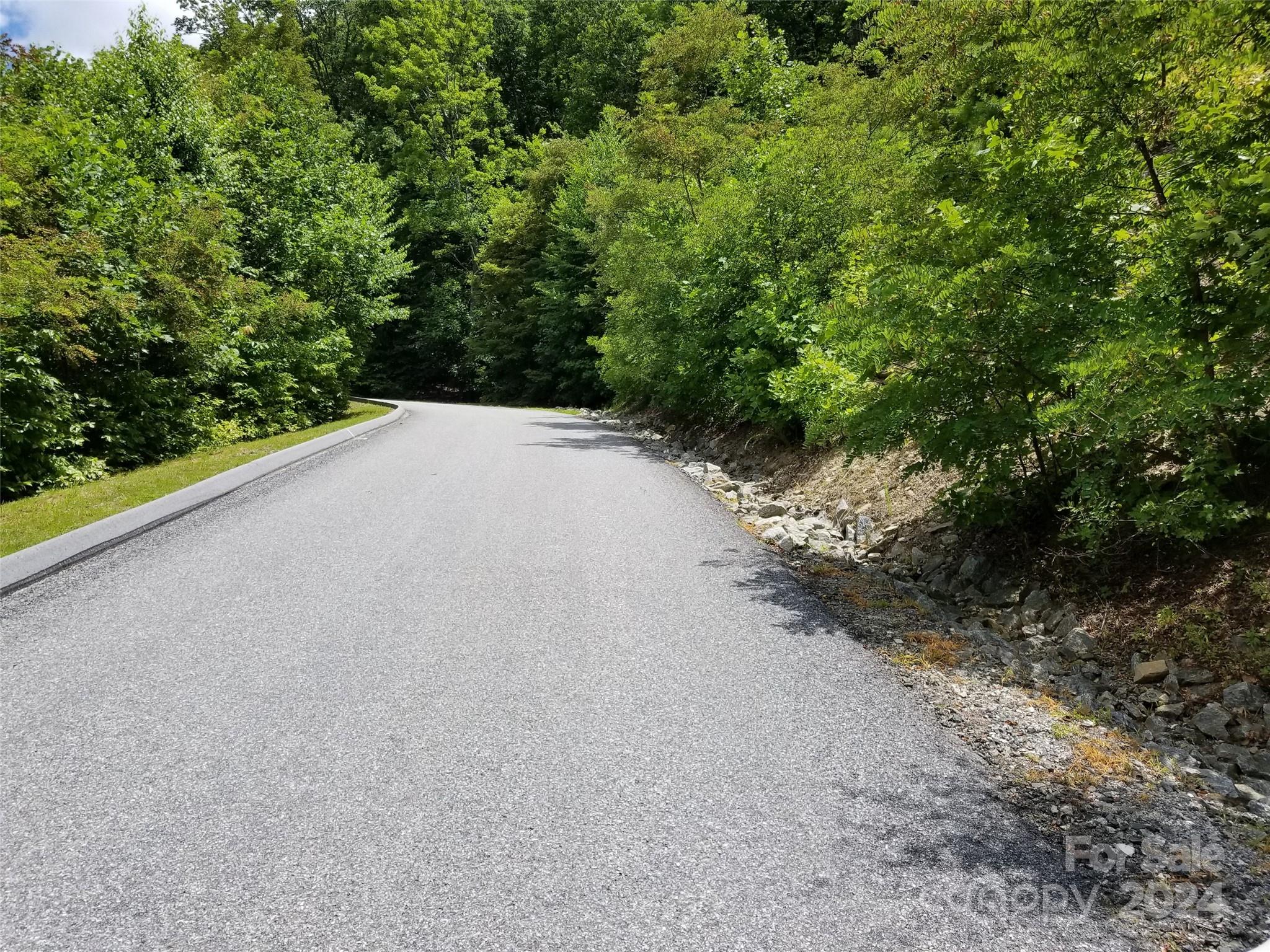 567 Blue Mist Way Arden, NC 28704 - Photo 2 of 9