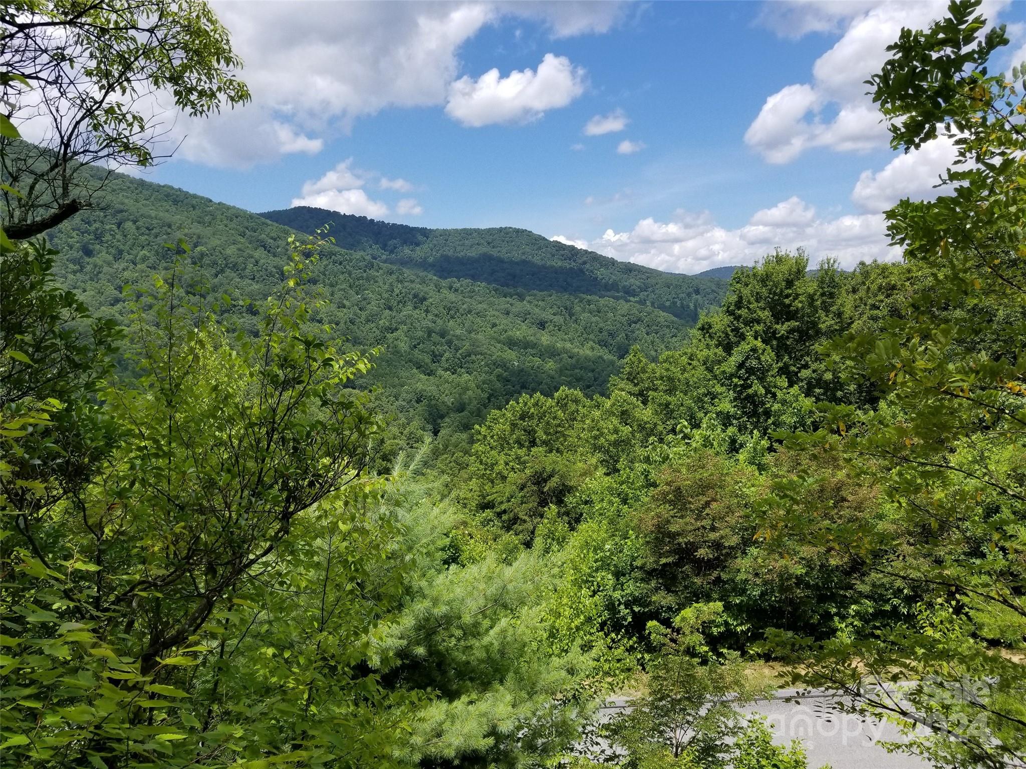 567 Blue Mist Way Arden, NC 28704 - Photo 3 of 9