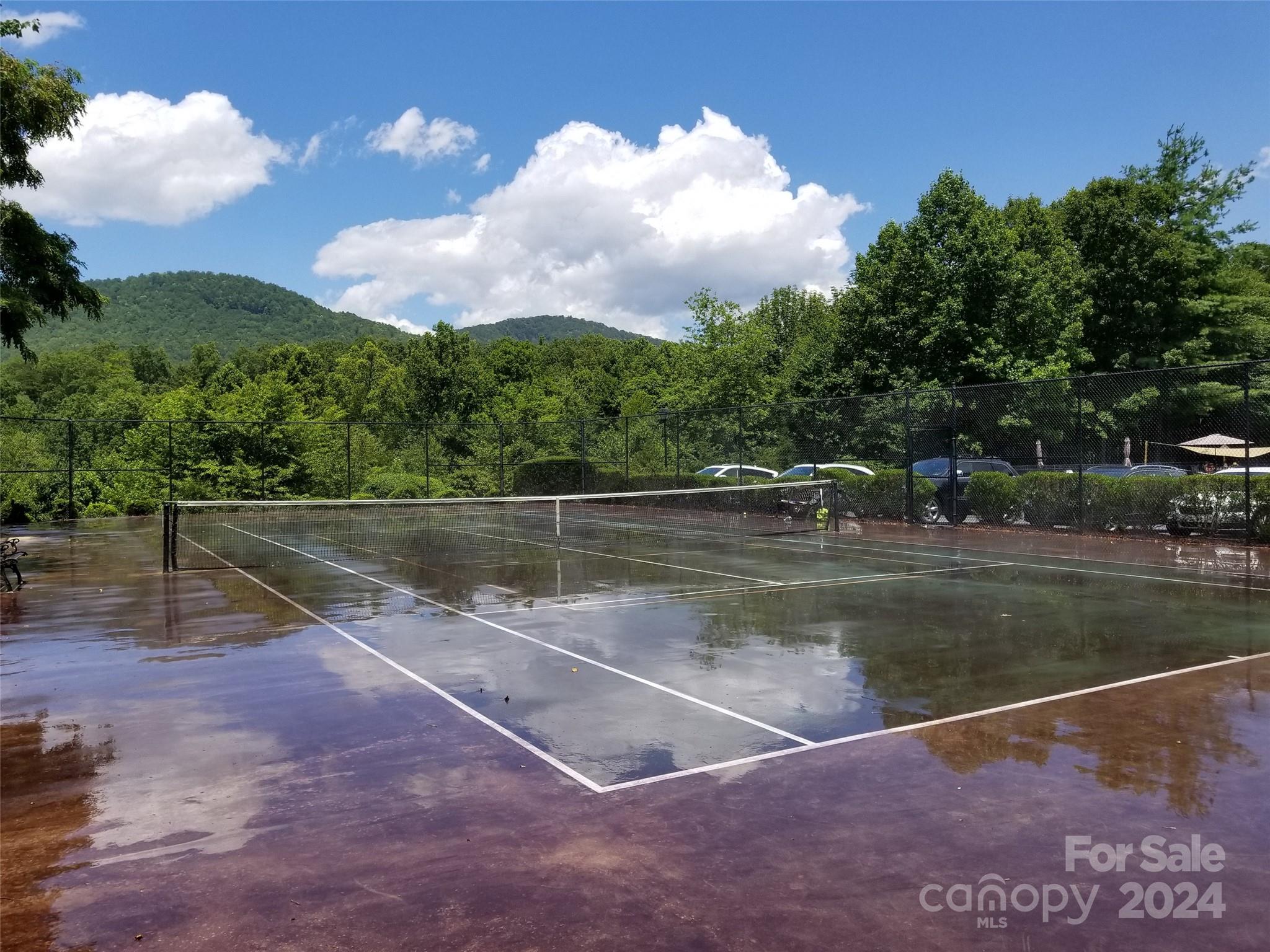 567 Blue Mist Way Arden, NC 28704 - Photo 5 of 9