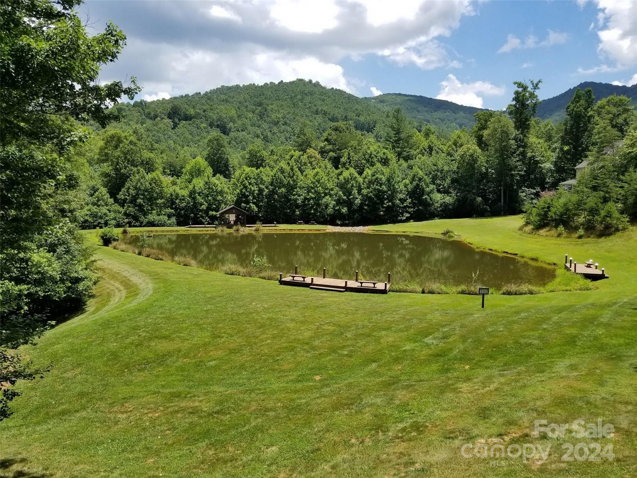 567 Blue Mist Way Arden, NC 28704 - Photo 8 of 9