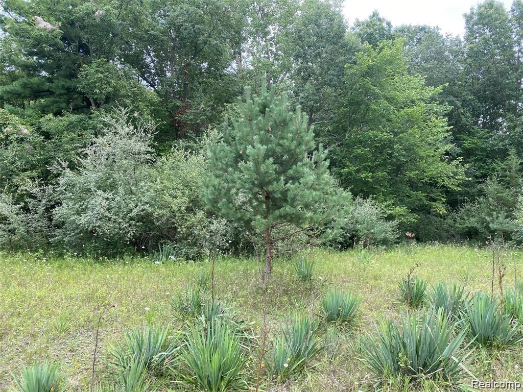 3 East Hunters Creek Road Lapeer, MI 48446 - Photo 2 of 3