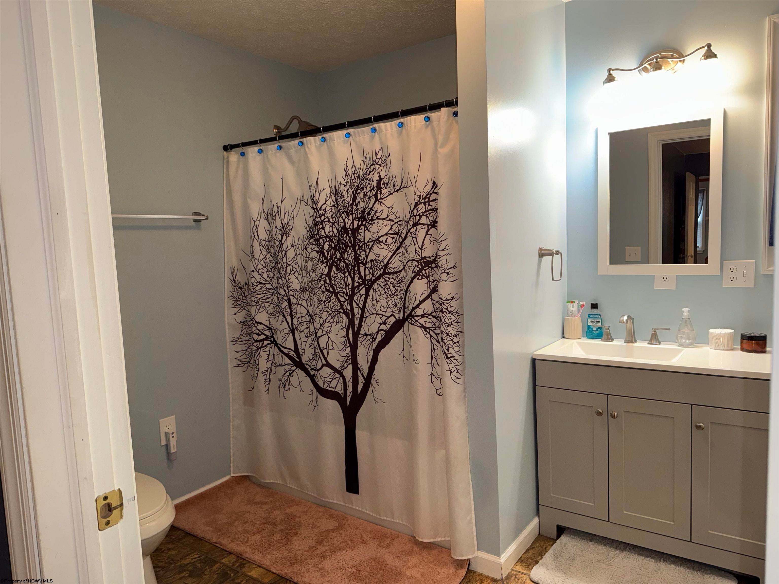 262 Eakin Road Beverly, WV 26253 - Photo 17 of 30 Gallery Image 17