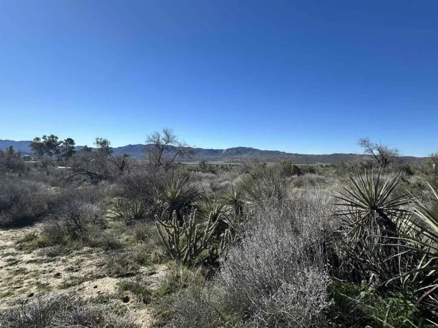 a view of a dry yard with mountains in the background