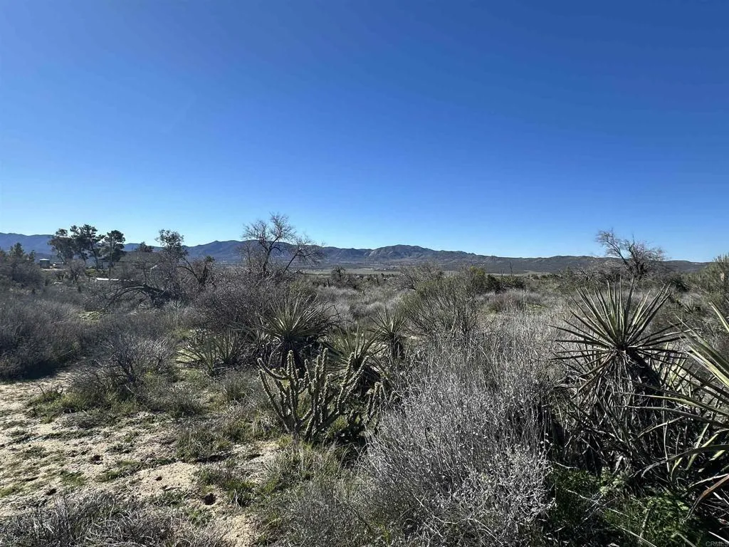 0 Rincon-Ridge Ridge Anza, CA 92539 - Photo 6 of 6 a view of a dry yard with mountains in the background