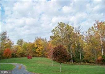 2995 Trough Road Shepherdstown, WV 25443 - Photo 18 of 21 View