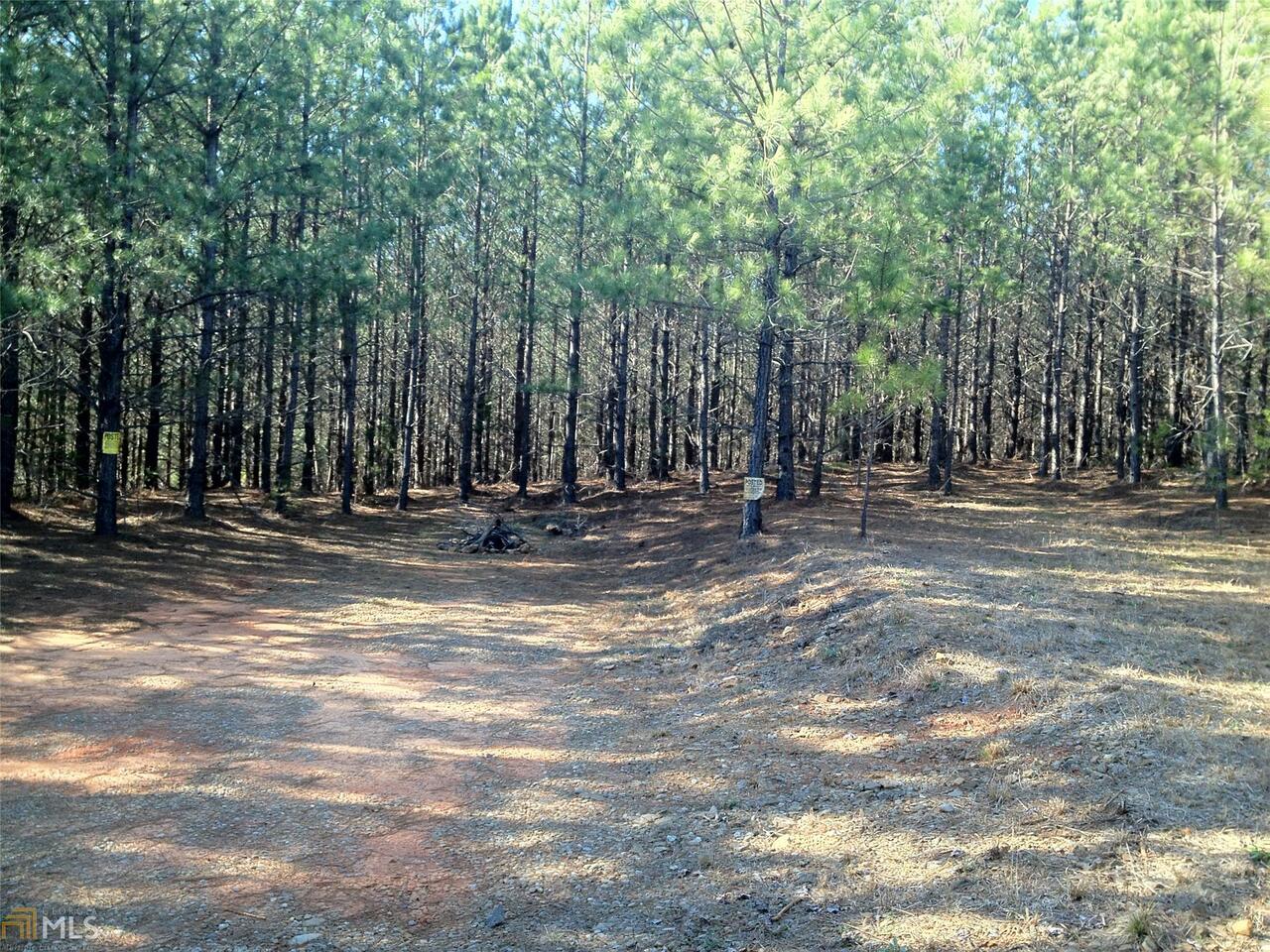 0 Reavis Mountain Road, Unit TRCT 3 Ball Ground, GA 30107 - Photo 1 of 1 Gallery Image 1