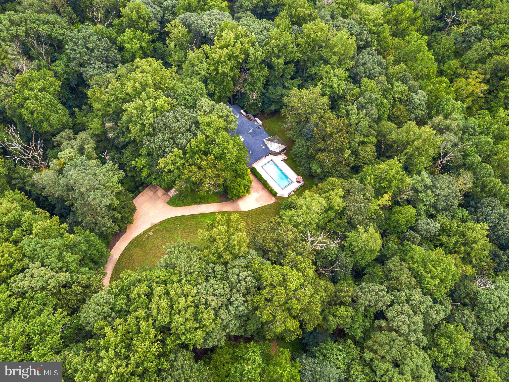 11615 Springridge Road Potomac, MD 20854 - Photo 35 of 38 Your Own Private Retreat!