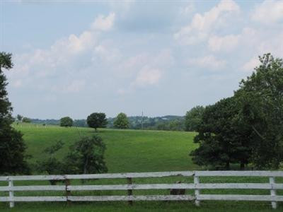 3095 Clifton Road Versailles, KY 40383 - Photo 5 of 5 Photo 5