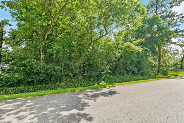 a view of a road with a yard and large trees