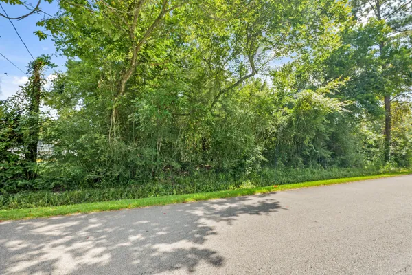 a view of a road with a yard