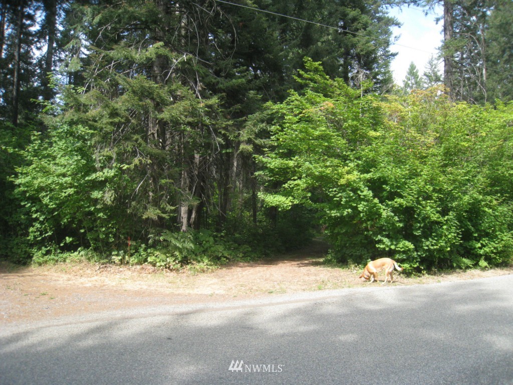 27 Lake Cabins Road Ronald, WA 98940 - Photo 3 of 3 Gallery Image 3