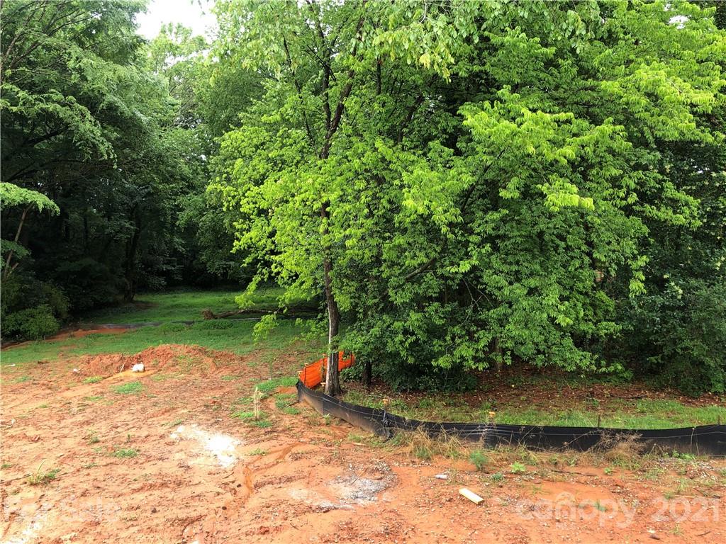 5520 Closeburn Road Charlotte, NC 28210 - Photo 13 of 32 a backyard of a house with lots of green space