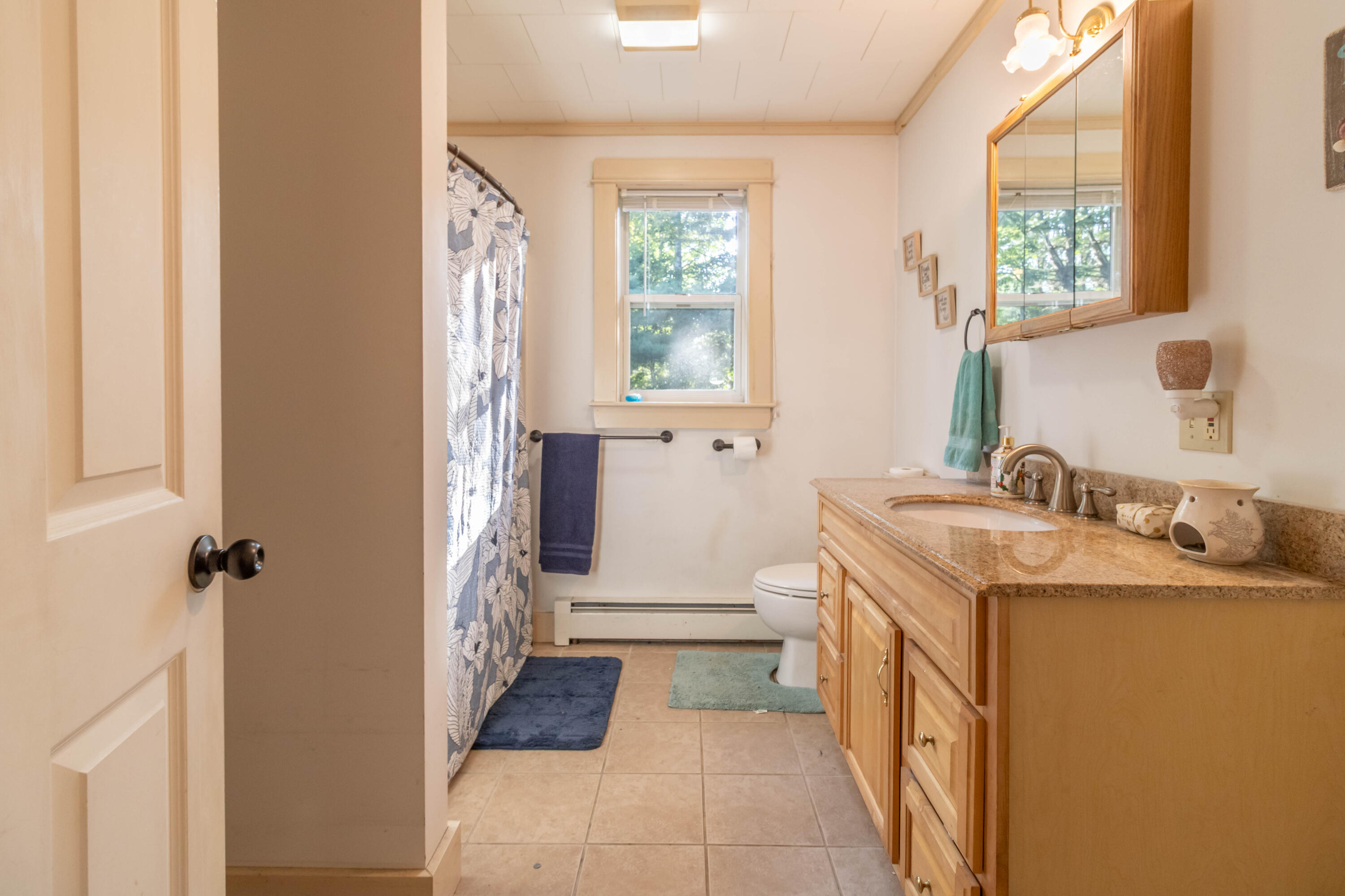 160 Front Ridge Road Orland, ME 04472 - Photo 42 of 61 IMG_3633-Edit