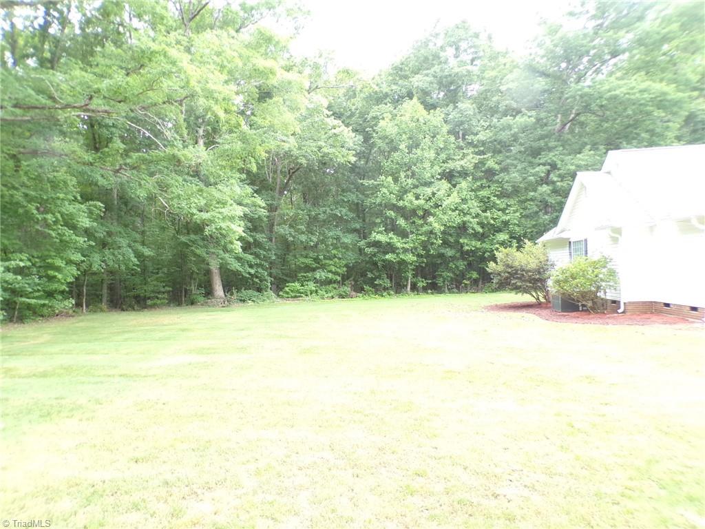 6236 Nat Road Julian, NC 27283 - Photo 30 of 34 Left Side Yard