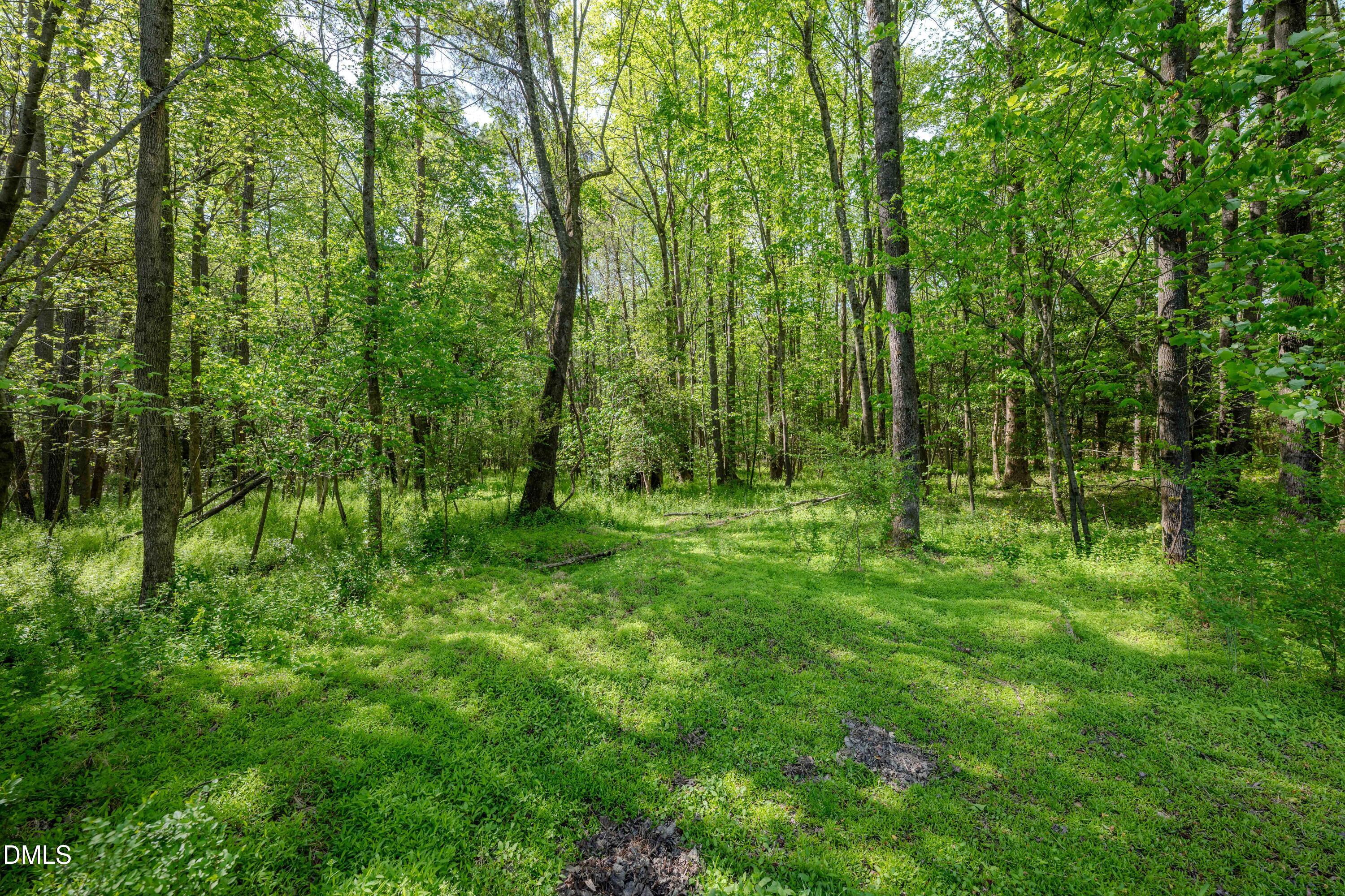 0 Bayles Road Lillington, NC 27546 - Photo 19 of 29 a view of outdoor space and green space