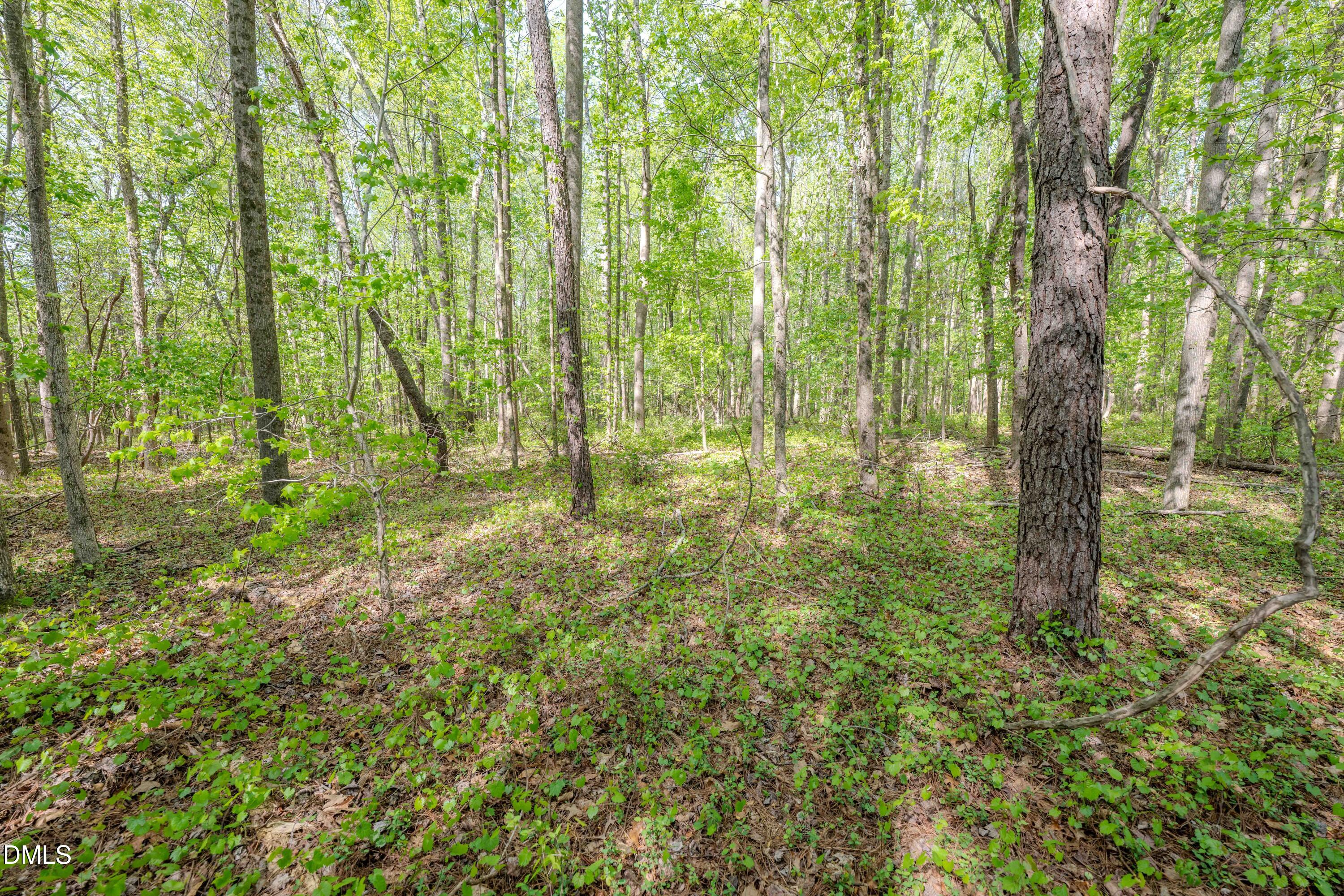 0 Bayles Road Lillington, NC 27546 - Photo 20 of 29 a backyard of a house with lots of green space and garden