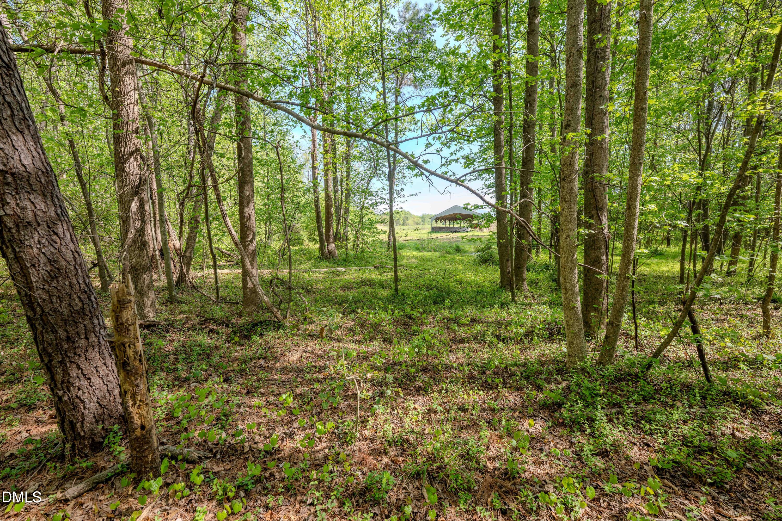 0 Bayles Road Lillington, NC 27546 - Photo 21 of 29 a view of outdoor space and a yard